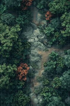 an aerial view of trees and rocks in the woods, taken from above with a grid overlay