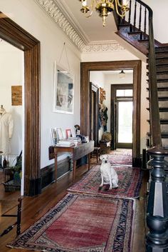 a white dog sitting on top of a rug in front of a stair case next to a wooden banister