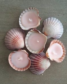 several seashells are sitting on a table with one candle in the middle, and two empty ones behind them