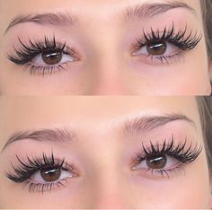 Kitten Eyelash Extensions, Curl Eyelashes, Lash Maps, Lash Extentions, Essential Makeup Brushes, Bold Makeup Looks, Eyelash Extensions Styles, Lash Extensions Styles