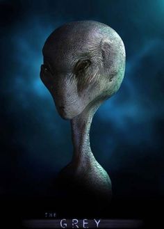 an alien head is shown against a dark background with the words grey written on it