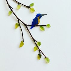 a blue bird sitting on top of a tree branch next to green and yellow leaves