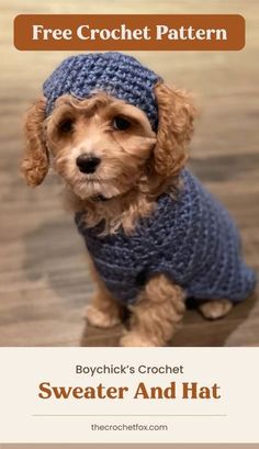 a dog wearing a sweater and hat with the text, free crochet pattern