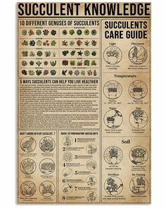 an old poster with the words succulentt knowledge on it