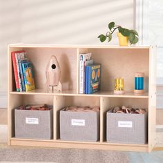 a book shelf with three bins on top of it and a plant in the middle