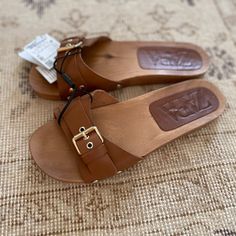 Brand New Zara Wooden Sandal Brown / Wood With Gold Buckle. Size 40 / 9 Chic Brown Sandals For The Beach, Brown Flat Heel Summer Sandals, Chic Brown Sandals With Adjustable Strap, Brown Closed Toe Mules For Beach, Brown Flat Heel Mules For Beach, Brown Closed Toe Mules For The Beach, Brown Flat Sandals With Buckle Closure, Brown Flat Mules For The Beach, Brown Flat Mules For Summer