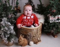 a baby sitting in a basket next to christmas trees