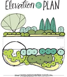 an image of the elevation and plan for a park in the woods, with trees