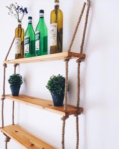 three wooden shelves with plants and bottles on them