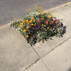 some flowers that are sitting on the sidewalk