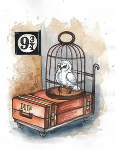 an owl is sitting in a cage on top of a luggage bag with the number nine