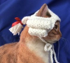 a brown cat wearing a white knitted hat