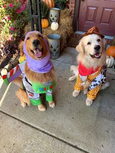 two dogs dressed up in costumes sitting on the front porch