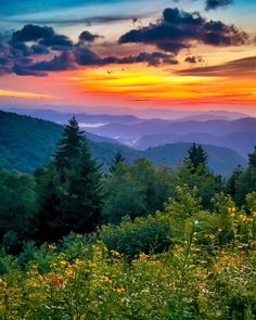 the sun is setting over mountains and trees