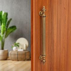 a door handle on a wooden door with a potted plant in the background