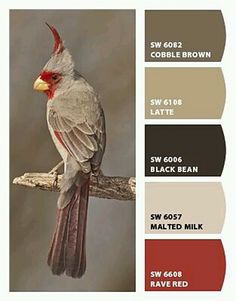 a bird sitting on top of a tree branch next to red and white paint swatches