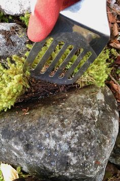 a person using a grater to cut moss