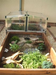 an outdoor garden with plants and rocks in it