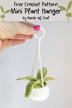 a crocheted mini plant hanger is shown with text overlay that reads, mini paint hanger by hands of zeil