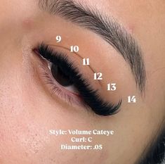 Volume Eye Lash Extensions, Eyelash Extensions Styles With Mapping, Wispy Cat Eye Lash Map, Cateye Lashextensions Map, Lash Clusters Mapping Styles, Eyelash Mapping Styles, Doll Eyelash Extensions Mapping, Lash Mapping For Different Eye Shapes, Lash Map Volume