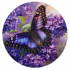 a blue butterfly sitting on top of purple flowers