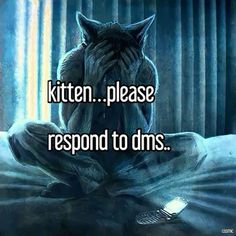 an owl sitting on top of a bed with the words kitten please respond to dns