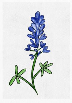 a drawing of a blue flower on a white background with green stems and two leaves