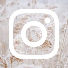 the instagram logo is surrounded by tall grass