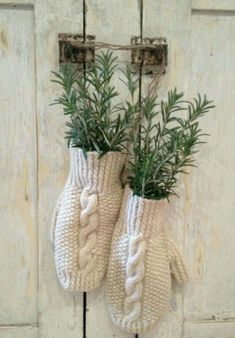 two knitted mittens hanging from a hook on a wall with plants in them