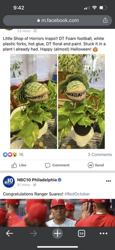 two screenshots of plants with the same image on them, and one is being viewed