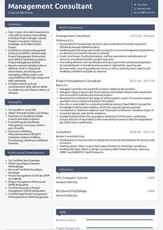 a professional resume for an it project manager in blue and white, with the words management consulting