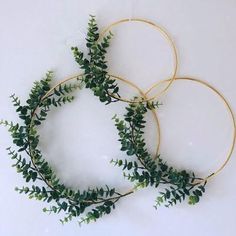 three gold hoop wreaths with green leaves