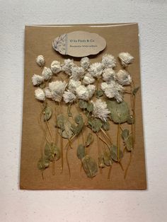 some white flowers and leaves on a brown card