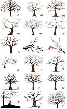 the different types of trees are shown in this screenshote screen shot, which shows how