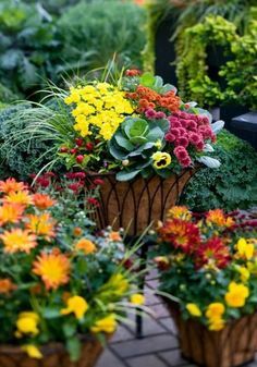 many different types of flowers in pots on the ground