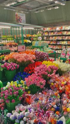 many colorful tulips are on display in the store's flower section for sale