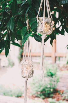 some glass jars hanging from a tree with green leaves and the words diy macrame jar hangers