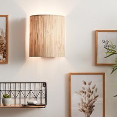 three framed pictures hang on the wall next to a shelf with plants and other items