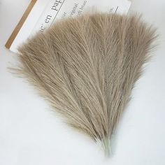 - Size: 16.5"/42cm- Color: As the picture shown- Plant Product Type: Pampas Grass- Specific Uses For Product: Home Decoration - You will get 80 faux pampas grass, each 16.5 inches high. You can put them in vases and tabletop decorations in multiple places. Color: Brown. Pampas Grass Table Decor, Boho Decorations, Faux Pampas, Short Vase, Grass Decor, Pampas Grass Decor, Grass Wedding, Floral Arrangements Wedding, Wedding Boho