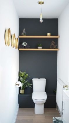 a white toilet sitting in a bathroom next to a wall mounted shelf filled with potted plants