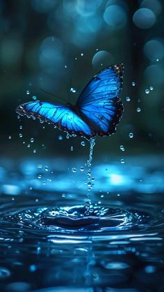 a blue butterfly flying over water with bubbles on it's wings and back legs