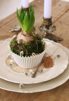 a white plate topped with a cupcake covered in moss and two candles on top of it