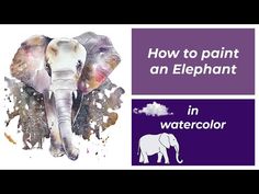 an elephant is painted with watercolors and the words how to paint an elephant