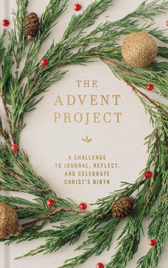 the cover of the book the advent project