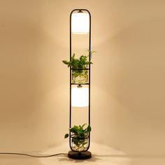 a lamp that has some plants in it