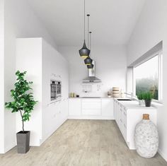 a kitchen with white cabinets and wood flooring next to a potted green plant