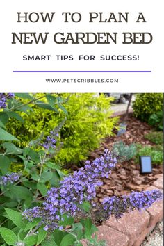 purple flowers in the garden with text overlay how to plan a new garden bed smart tips for success