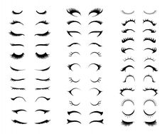 the different types of eyelashes on white background