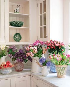 many different flowers are in vases on the kitchen countertop, and there is no image here to provide a caption for