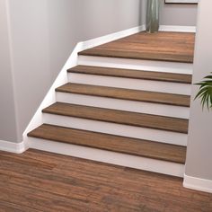 an empty staircase leading up to a potted plant on top of the wooden steps